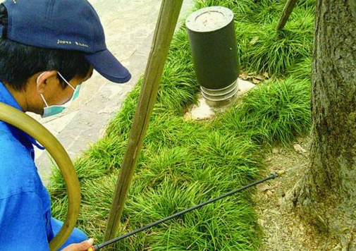 專業(yè)白蟻防治服務(wù)